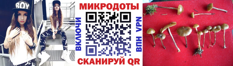 Галлюциногенные грибы мухоморы  Каргат 